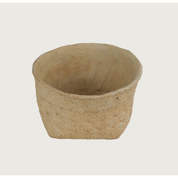 baytonia_main product photo