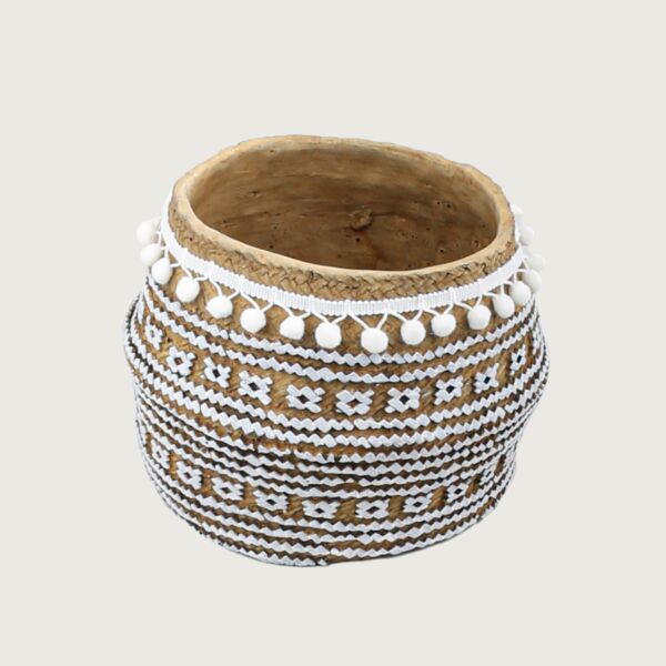 baytonia_main product photo