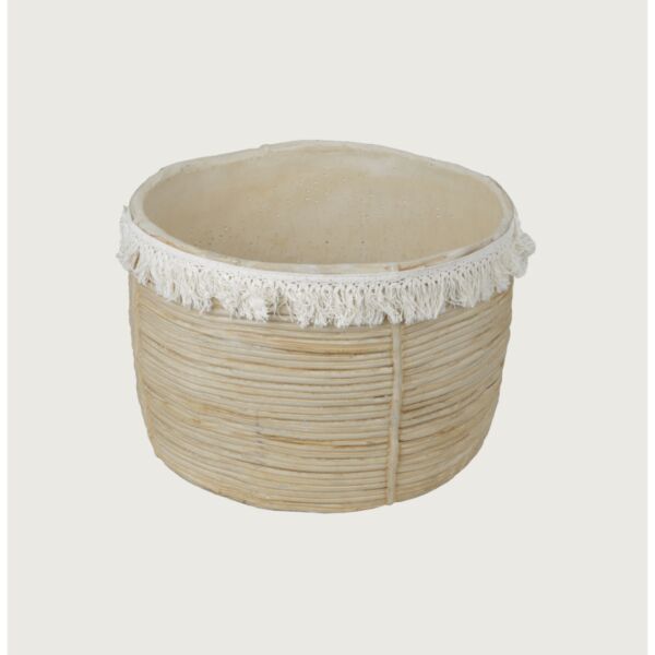 baytonia_main product photo