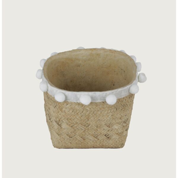baytonia_main product photo