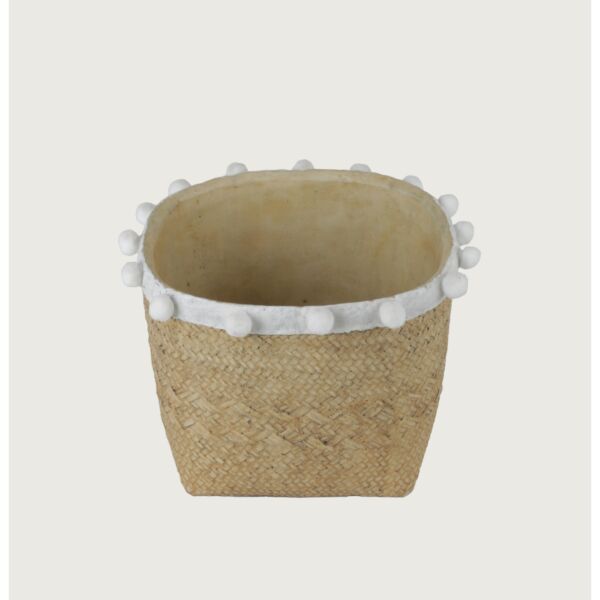 baytonia_main product photo