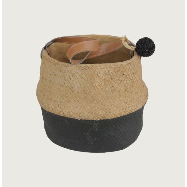 baytonia_main product photo