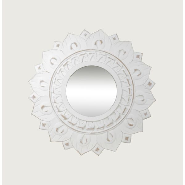 baytonia_main product photo