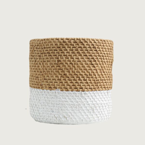 baytonia_main product photo