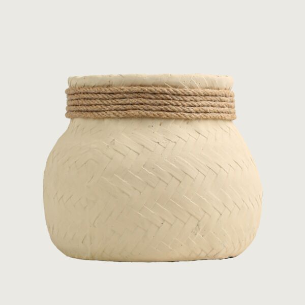 baytonia_main product photo