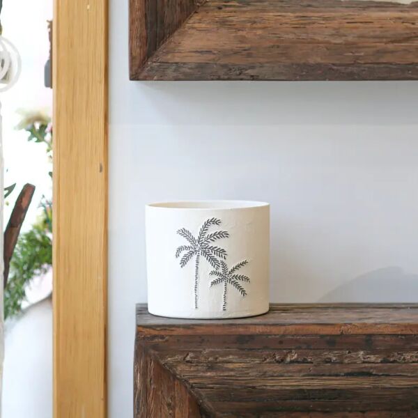 baytonia_main product photo