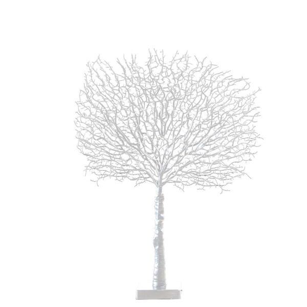 baytonia_main product photo