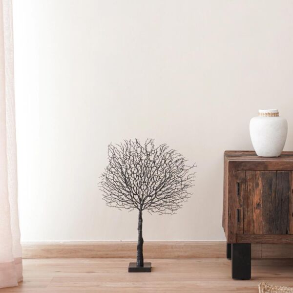 baytonia_main product photo