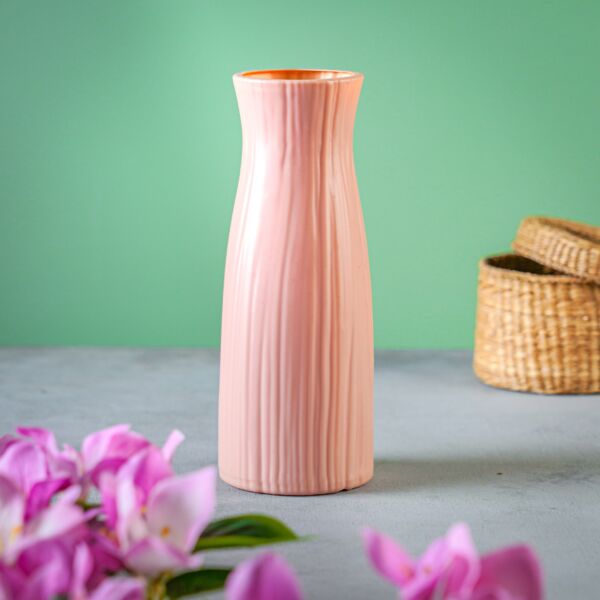 baytonia_main product photo