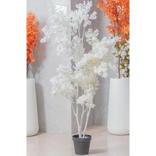 baytonia_main product photo