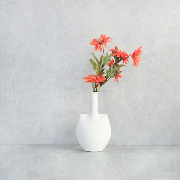 baytonia_main product photo