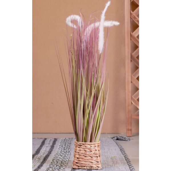 baytonia_main product photo