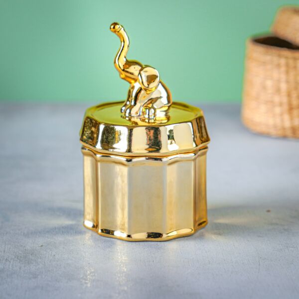 baytonia_main product photo