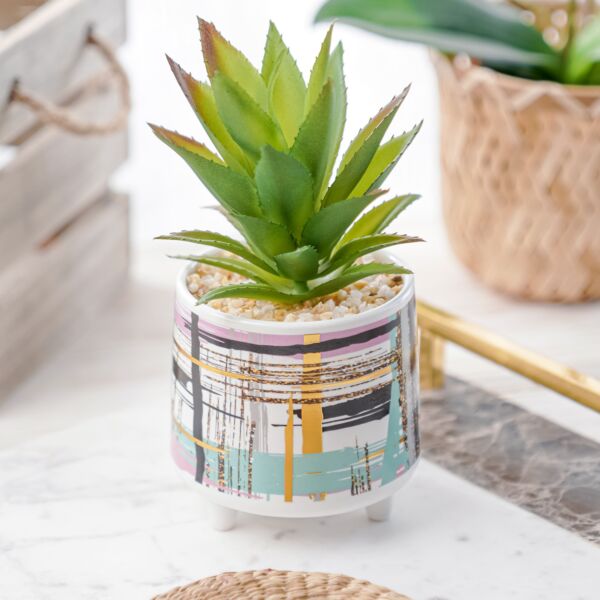 baytonia_main product photo