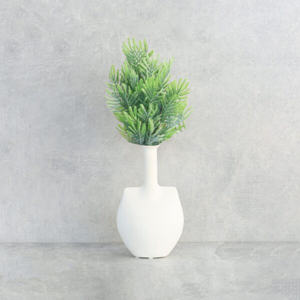 baytonia_main product photo