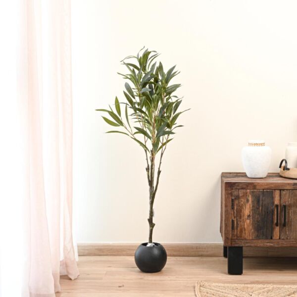 baytonia_main product photo