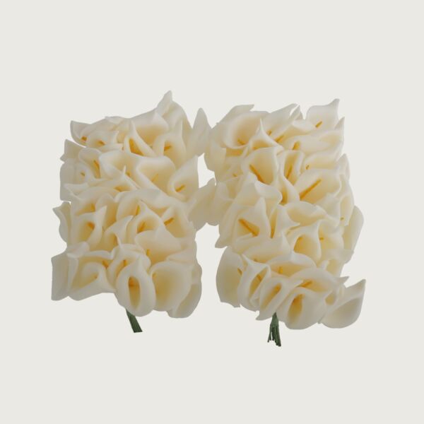baytonia_main product photo