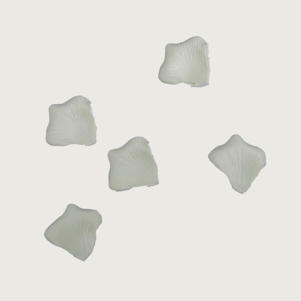 baytonia_main product photo