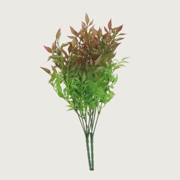 baytonia_main product photo