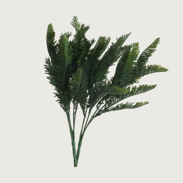 baytonia_main product photo
