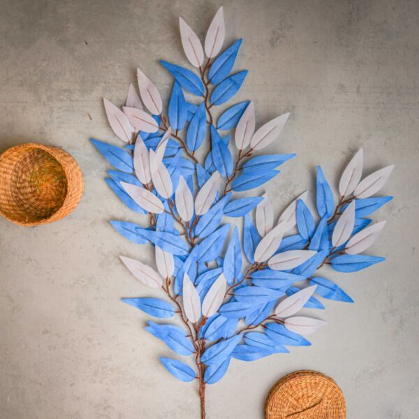 baytonia_main product photo