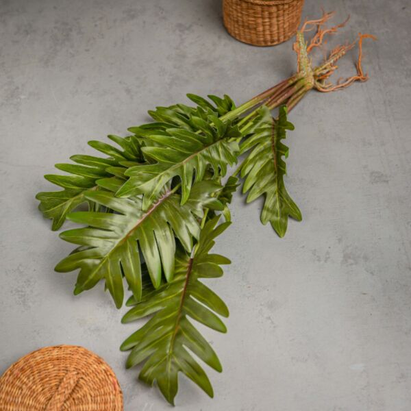 baytonia_main product photo