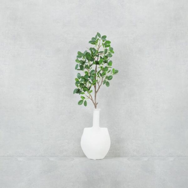 baytonia_main product photo