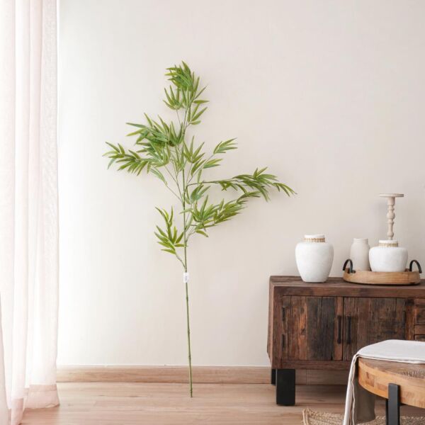 baytonia_main product photo
