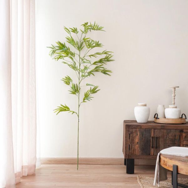 baytonia_main product photo