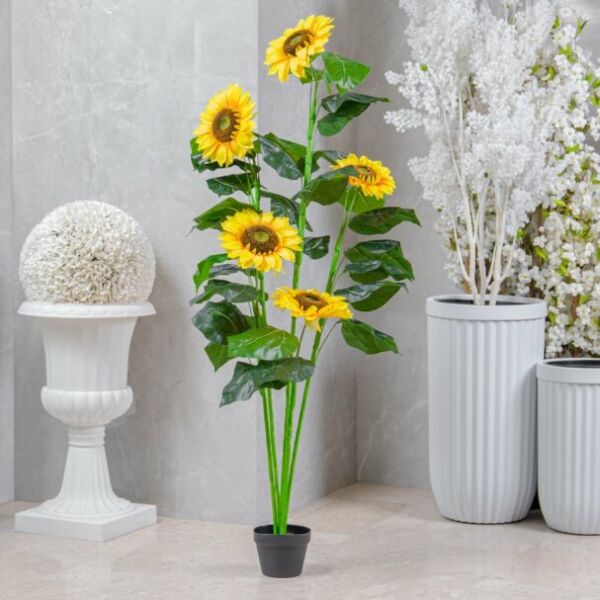 baytonia_main product photo