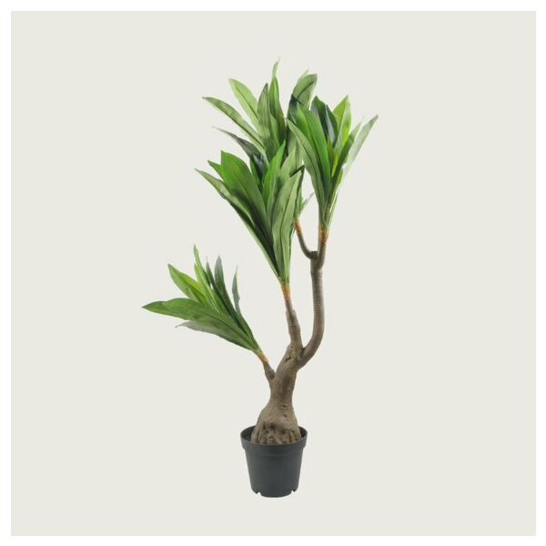 baytonia_main product photo