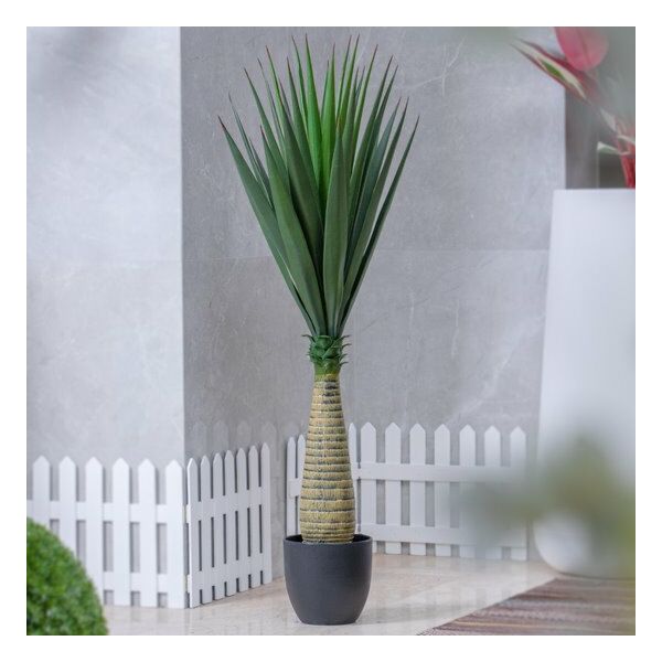 baytonia_main product photo