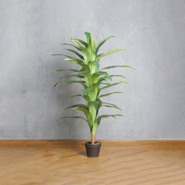 baytonia_main product photo