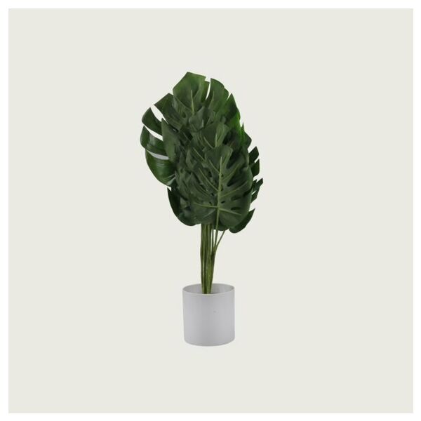baytonia_main product photo
