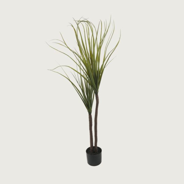 baytonia_main product photo