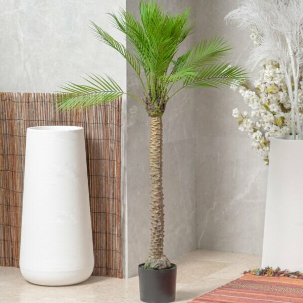 baytonia_main product photo