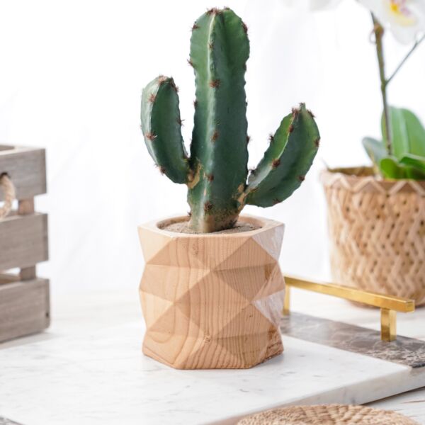 baytonia_main product photo