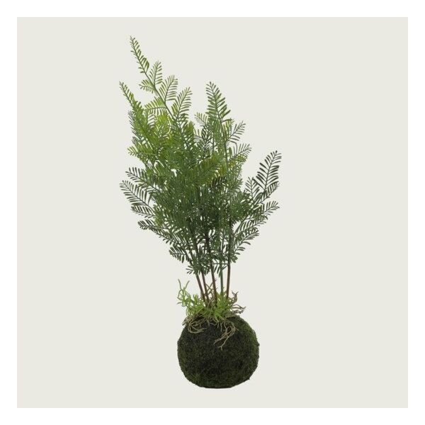 baytonia_main product photo
