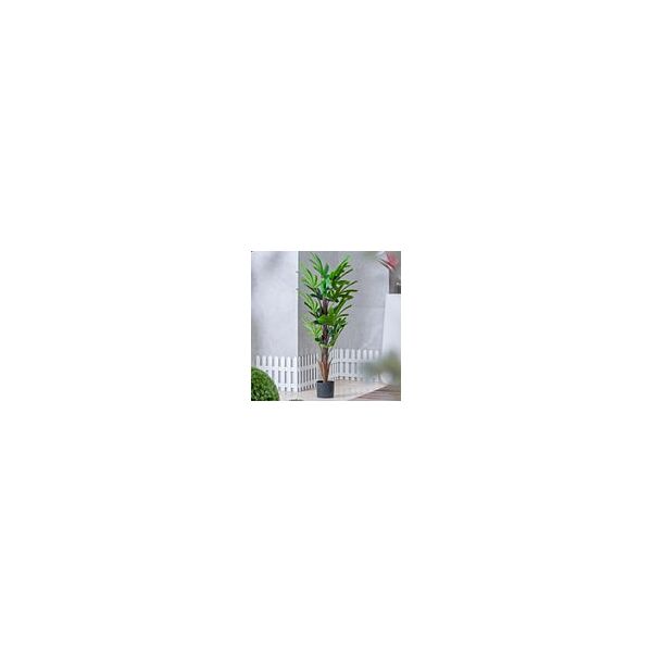 baytonia_main product photo