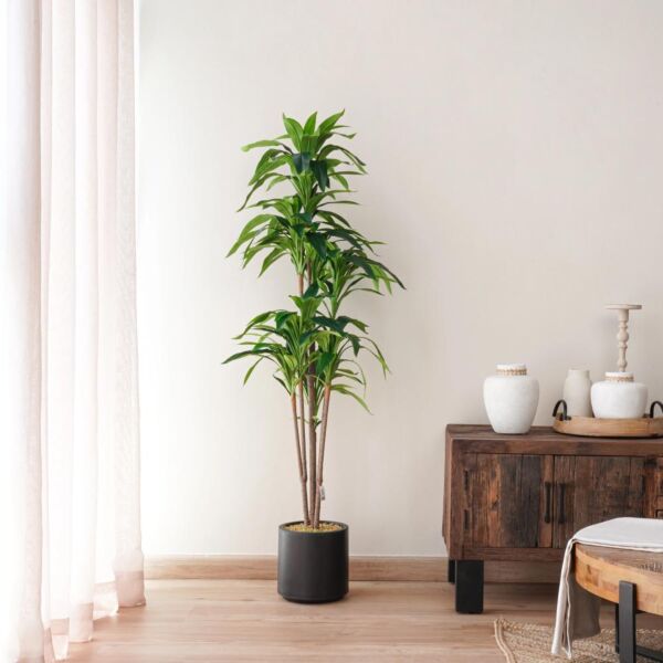baytonia_main product photo