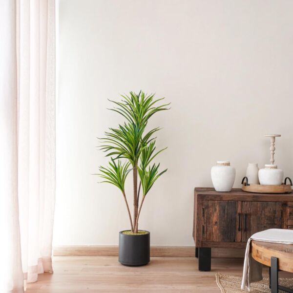 baytonia_main product photo