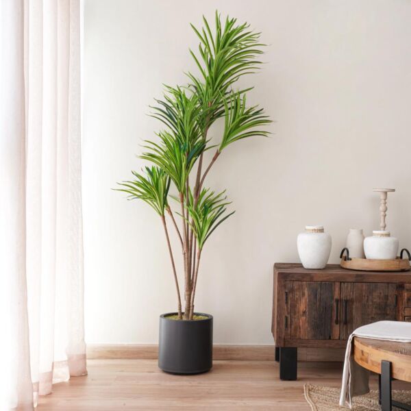 baytonia_main product photo