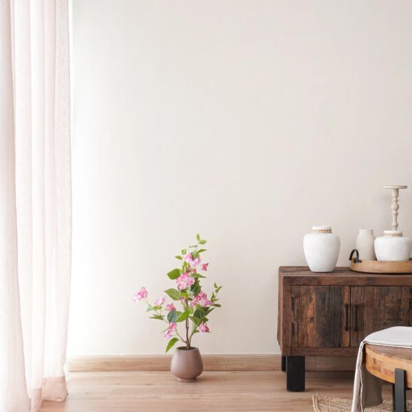 baytonia_main product photo