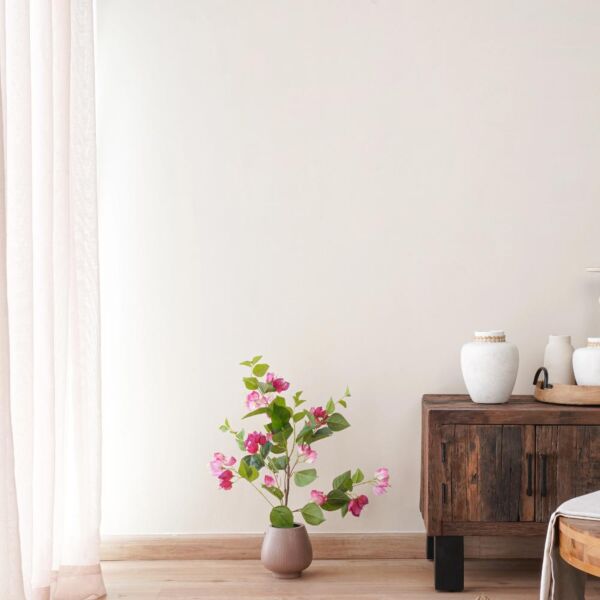 baytonia_main product photo