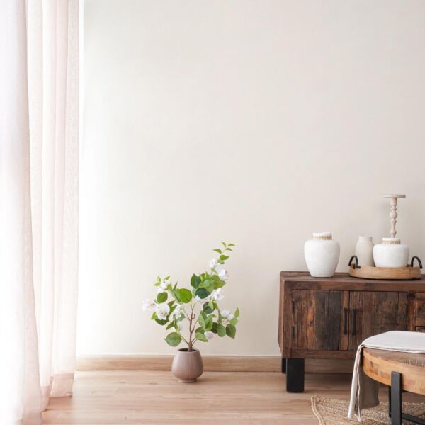 baytonia_main product photo